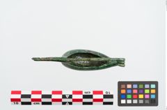 Foto von Bronzekahnfibel (NHMW-PRAE-023899)